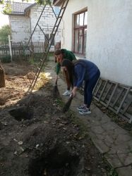 proekt3
